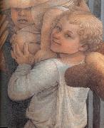 Fra Filippo Lippi Details of  Madonna and Child with Two Angels oil painting reproduction